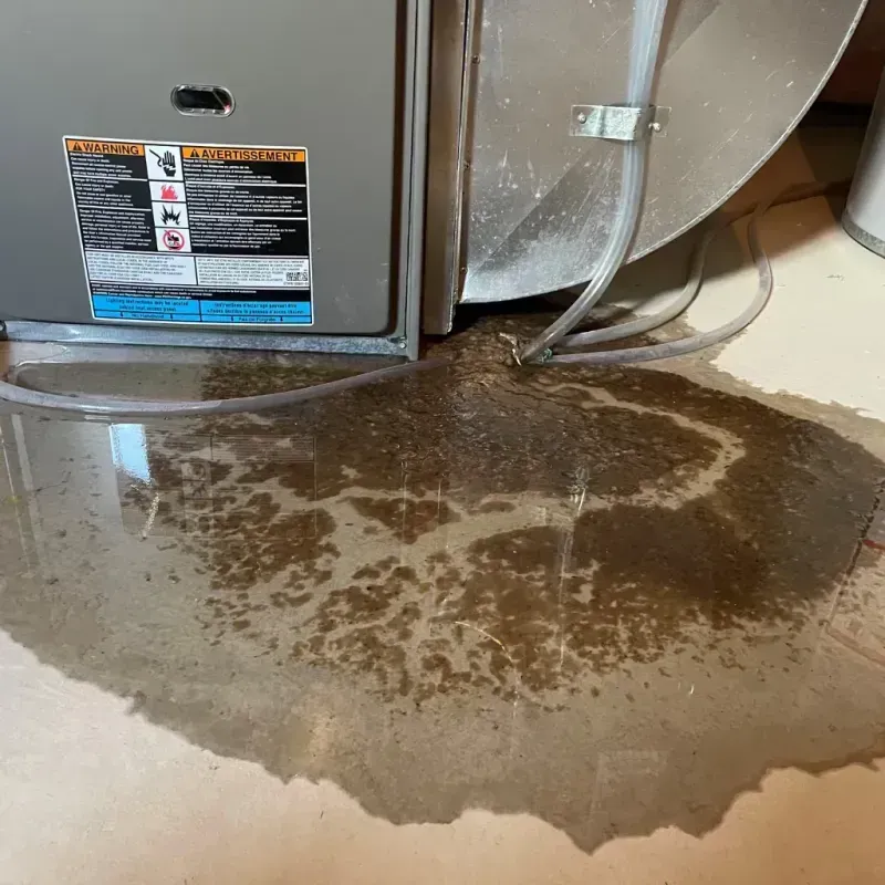 Appliance Leak Cleanup in Nogales, AZ